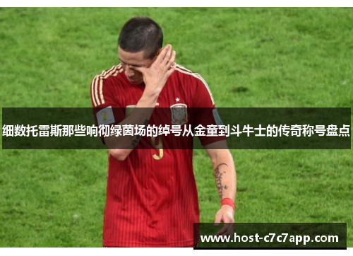 细数托雷斯那些响彻绿茵场的绰号从金童到斗牛士的传奇称号盘点