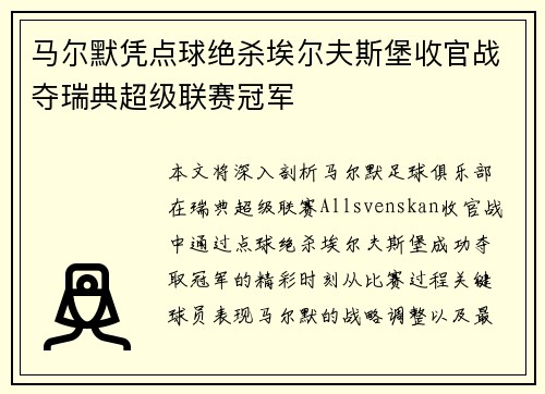 马尔默凭点球绝杀埃尔夫斯堡收官战夺瑞典超级联赛冠军